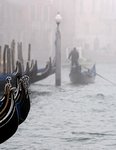 Венеция. туман