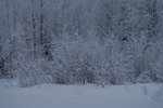 Снег :: Volod