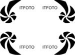 logo_tfoto2.gif