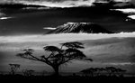 Килиманджаро bw