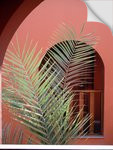 Пальмы и арки :: Сивка-Бурка