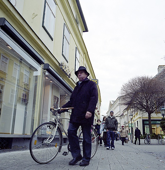 Портрет бюргера с велосипедом